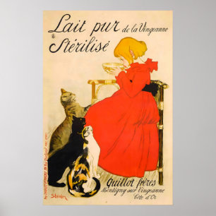 Gesteriliseerde pure melk van de Vingeanne POSTER