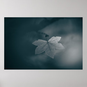 Gestileerd monochroom esdoornblad natuurfoto poster