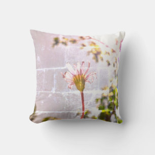 Gestileerde blauwe madeliefjesbloem kussen werp ku