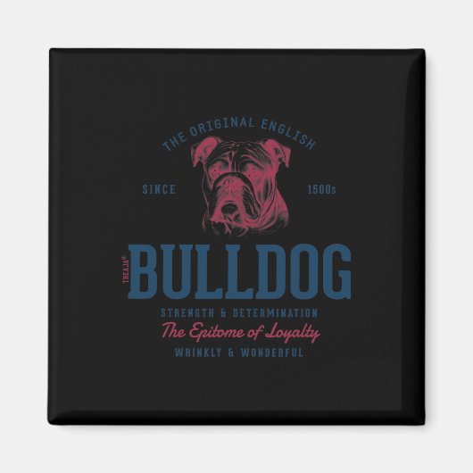 Gestileerde Engels Bulldog Magneet (Voorkant)