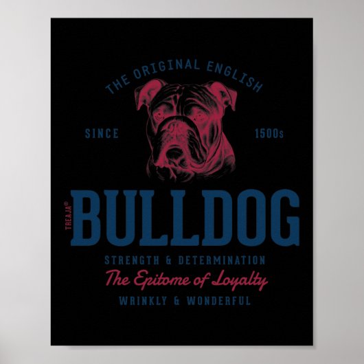 Gestileerde  Engels Bulldog Poster (Voorkant)
