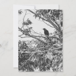 gestileerde hoog-contrast Amerikaanse gotische kra Feestdagenkaart