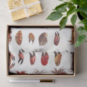  gestileerde krabben en krabben tissuepapier (Geschenk)