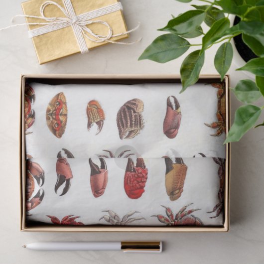  gestileerde krabben en krabben tissuepapier (Geschenk)