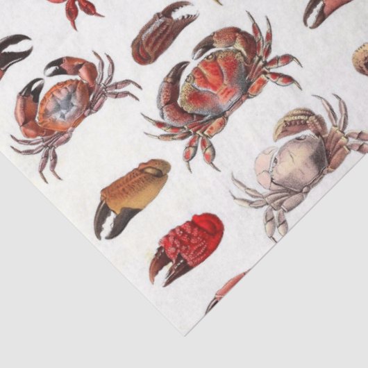  gestileerde krabben en krabben tissuepapier (Detail)