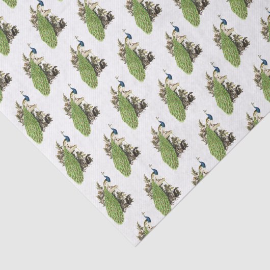 gestileerde Marktpagina op een Tak Tissuepapier (Detail)