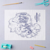 gestileerde Mount Desert Island MN Map Blue Tissuepapier (Craft)