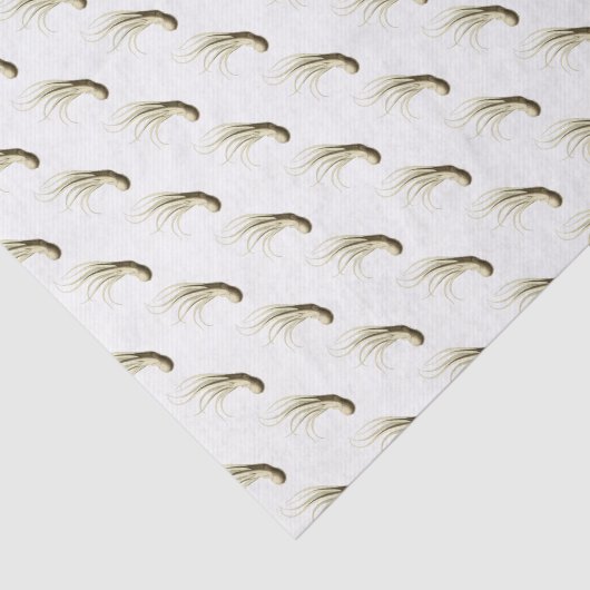  gestileerde octopus-tekening Uitzicht Tissuepapier (Detail)