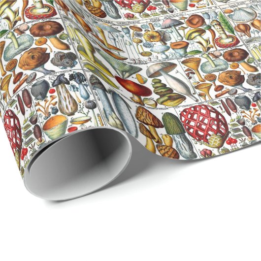  gestileerde paddenstoelen Fungi DIY-kleur BG Cadeaupapier (Rol Hoek)