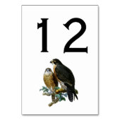  gestileerde valken op vertakking kaart (Achterkant)