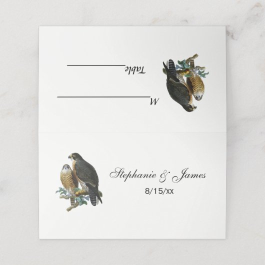  gestileerde valken op vertakking plaatskaartje (Buitenkant ongevouwen)