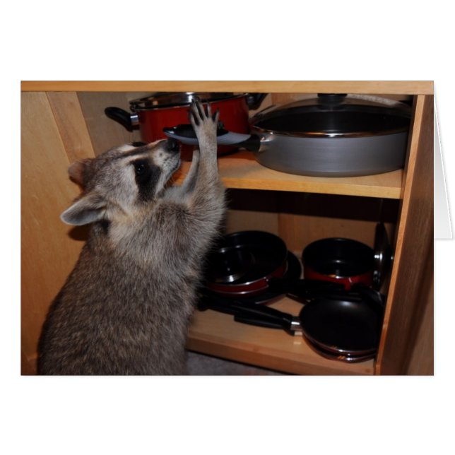 gestolen pan-kaart (Voorkant Horizontaal)