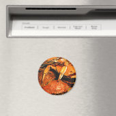 Gestoomde Maryland Harde Krabben Magneet (Insitu (Vaatwasser))