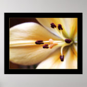 Gestopt Poster van de Klokventilator (Voorkant)