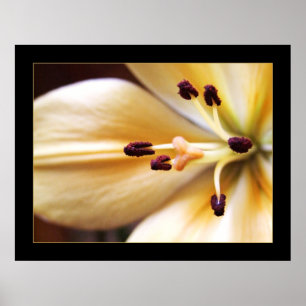 Gestopt Poster van de Klokventilator