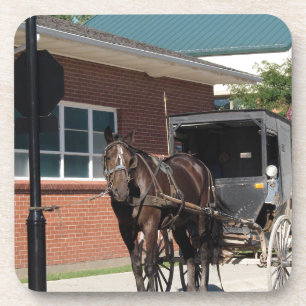 Gestopt voor een Spell, een Amiish Horse bij stopt Bier Onderzetter