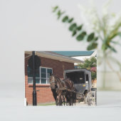 Gestopt voor een Spell, een Amiish Horse bij stopt Briefkaart (Staand voorkant)