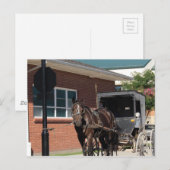 Gestopt voor een Spell, een Amiish Horse bij stopt Briefkaart (Voorkant / Achterkant)