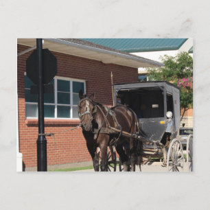Gestopt voor een Spell, een Amiish Horse bij stopt Briefkaart