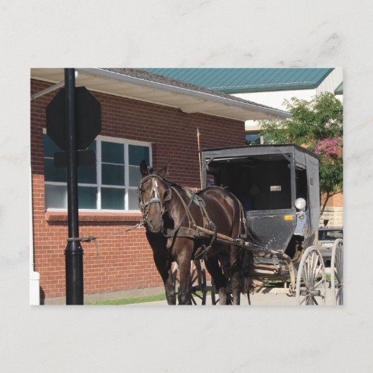 Gestopt voor een Spell, een Amiish Horse bij stopt Briefkaart (Voorkant)