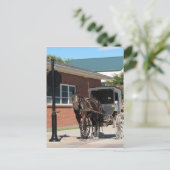 Gestopt voor een Spell, een Amiish Horse bij stopt Briefkaart (Staand voorkant)