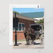 Gestopt voor een Spell, een Amiish Horse bij stopt Briefkaart (Voorkant / Achterkant)