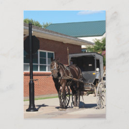 Gestopt voor een Spell, een Amiish Horse bij stopt Briefkaart