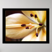 Gestopte Klok Bloem Poster (Voorkant)