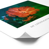 Gestormd rood groen geraniumventiel Poster (Hoek)