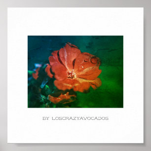 Gestormd rood groen geraniumventiel Poster