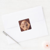 Gestormde kop uit Predionica Vierkante Sticker (Envelop)
