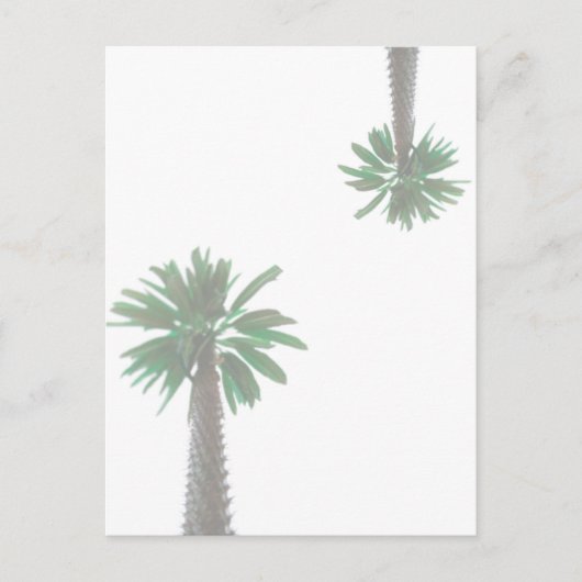 Gestormde palmboom Pastel Green Tropical Briefkaart (Voorkant)