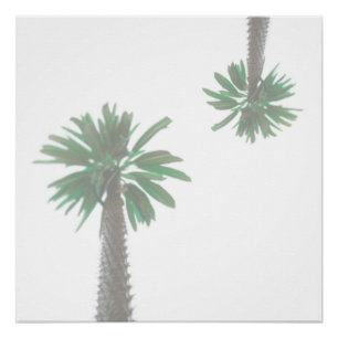 Gestormde palmboom Pastel Green Tropical Perfect Poster