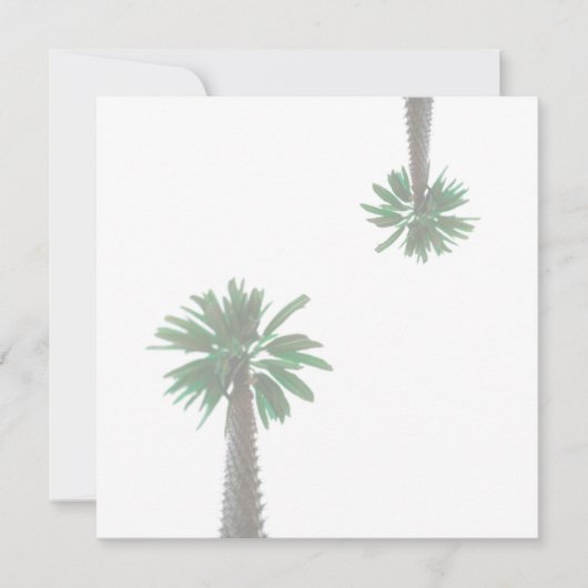 Gestormde palmboompastel met groene tropische plat (Voorkant)