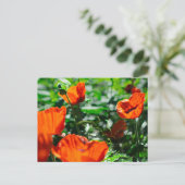 Gestormde rode papaverbloemen tuin briefkaart (Staand voorkant)