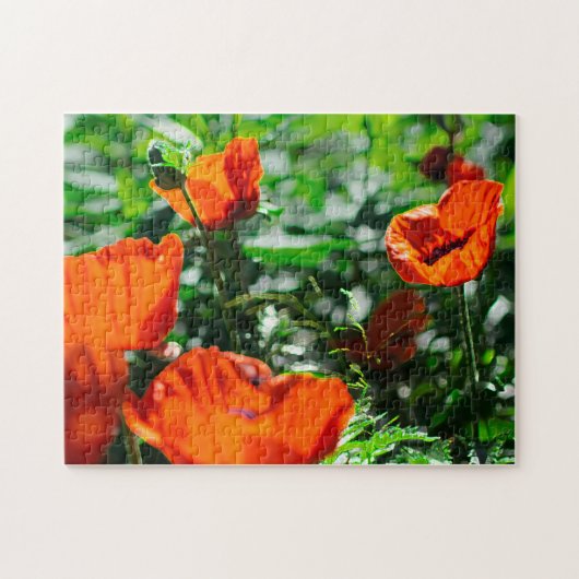 Gestormde rode papaverbloemen tuin legpuzzel (Horizontaal)