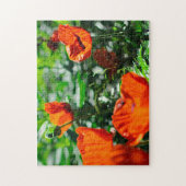 Gestormde rode papaverbloemen tuin legpuzzel (Verticaal)