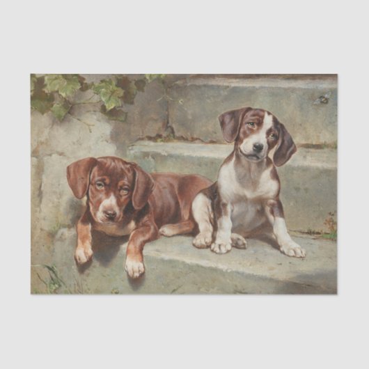 Gestorte Siesta door Carl Reichert Tissuepapier (Voorkant)