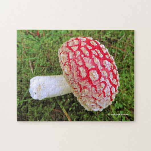 Gestorven Agaric/Amanita Muscaria Red Mushroom Legpuzzel (Horizontaal)
