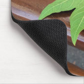 gestorven blad muismat (Hoek)