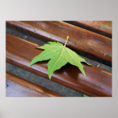 gestorven blad poster (Voorkant)
