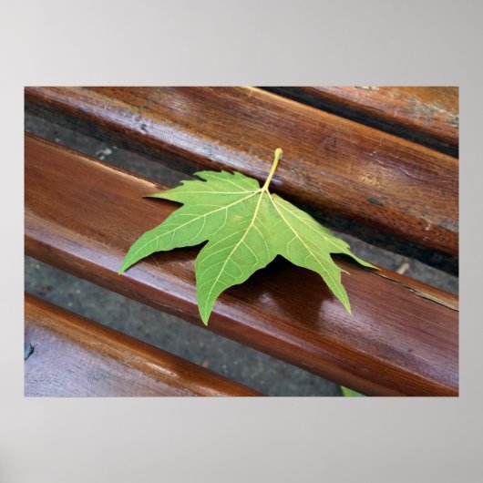 gestorven blad poster (Voorkant)