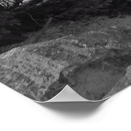 Gestorven bomen boven water poster (Hoek)