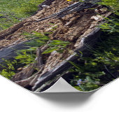 Gestorven bomen en wilde bergbloemen poster (Hoek)