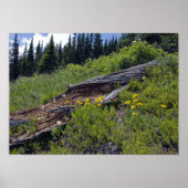 Gestorven bomen en wilde bergbloemen poster (Voorkant)