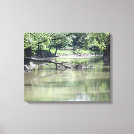 Gestorven boom in het water canvas afdruk