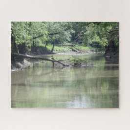 Gestorven boom in het water legpuzzel