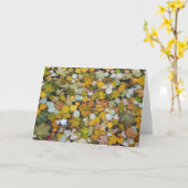 Gestorven boombladeren in Letland. Kaart (Gele Bloem)