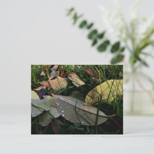 Gestorven Briefkaart (Staand voorkant)