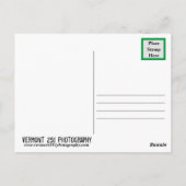 Gestorven Briefkaart (Achterkant)